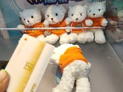 -PAWTOY爪e玩偶店(天兴罗斯福店)