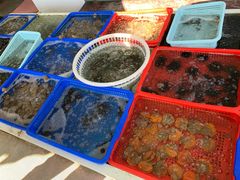 -南蚝小贝海鲜特色餐厅(南澳岛店)