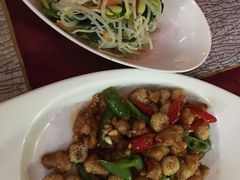 -云中小雅