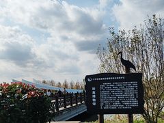 -盐城丹顶鹤湿地生态旅游区