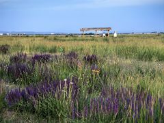 -敕勒川草原文化旅游区