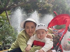 -田螺阿姨自营月嫂·育儿嫂(高新店)