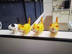 -凯瑞希宠物医院·狂犬免疫·微创·皮肤科