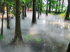 -东湖落雁景区