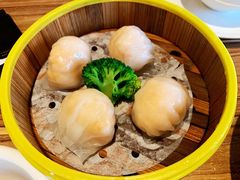 粤港虾饺皇-粤港餐厅(禹州商业广场店)
