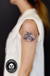 -越域刺青
