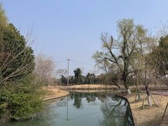 -上海佘山茂御臻品之选酒店(原佘山艾美酒店)