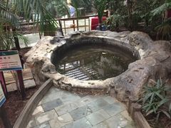 -龙达温泉生态城