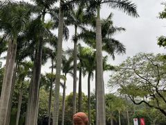 -广州雕塑公园