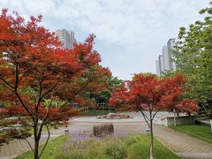 -尚贤河湿地