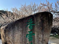 -香雪海