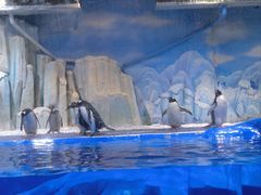 -石家庄市动物园