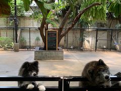 -TrueLove @ Neverland (Husky Cafe)