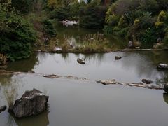 -云溪植物园