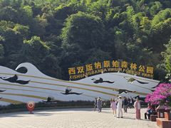 -西双版纳原始森林公园