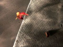 -和顺柏联温泉