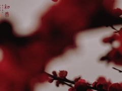 -杭州城北体育公园