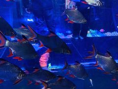 -成都浩海立方海洋公园