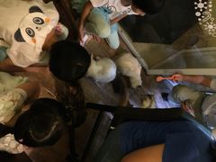 猫色咖啡-猫色咖啡·猫咖
