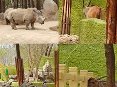 -北京野生动物园