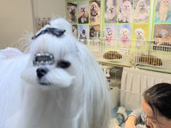 -重庆国际会议展览中心