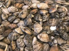 -北塘海鲜·天津菜(大光明桥旗舰店)