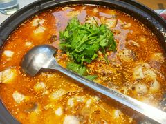 -光海·乡记酸菜鱼·始于1996(花园路店)