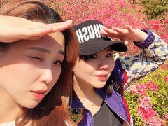 -木兰云雾山