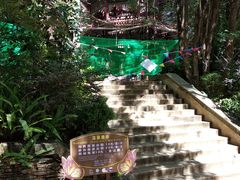 -蝴蝶泉公园
