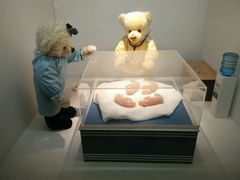 -成都泰迪熊博物馆