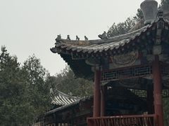 -北京凤凰岭
