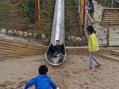 -欢乐松鼠谷