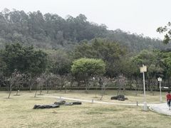 -顺峰山公园