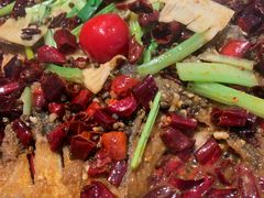 -老板恋上鱼(恒隆广场店)