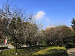 -杭州电子科技大学(下沙校区)