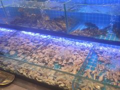 -透明思烤·自助烤肉海鲜火锅(东部星悦天地店)