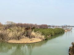 -苏州太湖国家湿地公园