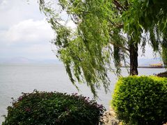 -大理洱海