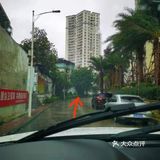 小厨陈与茶
