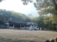 -上海佘山国家森林公园天马山园