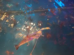 -钳真多钓虾馆·小龙虾海鲜烧烤(九六广场店)