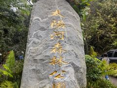-普洱太阳河森林公园