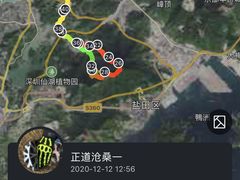 -梧桐山风景名胜区