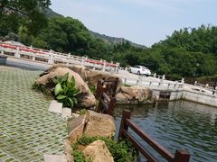 -白马涧龙池景区