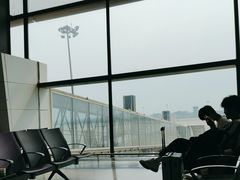 -郑州新郑国际机场-T2航站楼