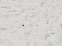 -长沙湘江欢乐雪域