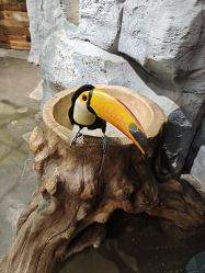 -Zoolung Zoolung动物主题公园(海信广场店)