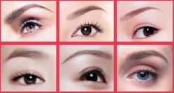 点击看大图 201309041057005385-艾妃罗高科美肤美甲美睫健康管理