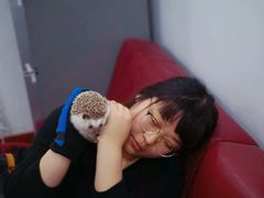 -派联宠物医院·24h·CT·异宠