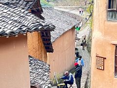 -杨家堂村